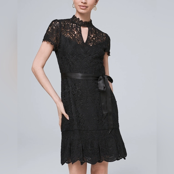 White House Black Label | Short Sleeve Crotchet Lace Dress with Cutout - Picture 13 of 16